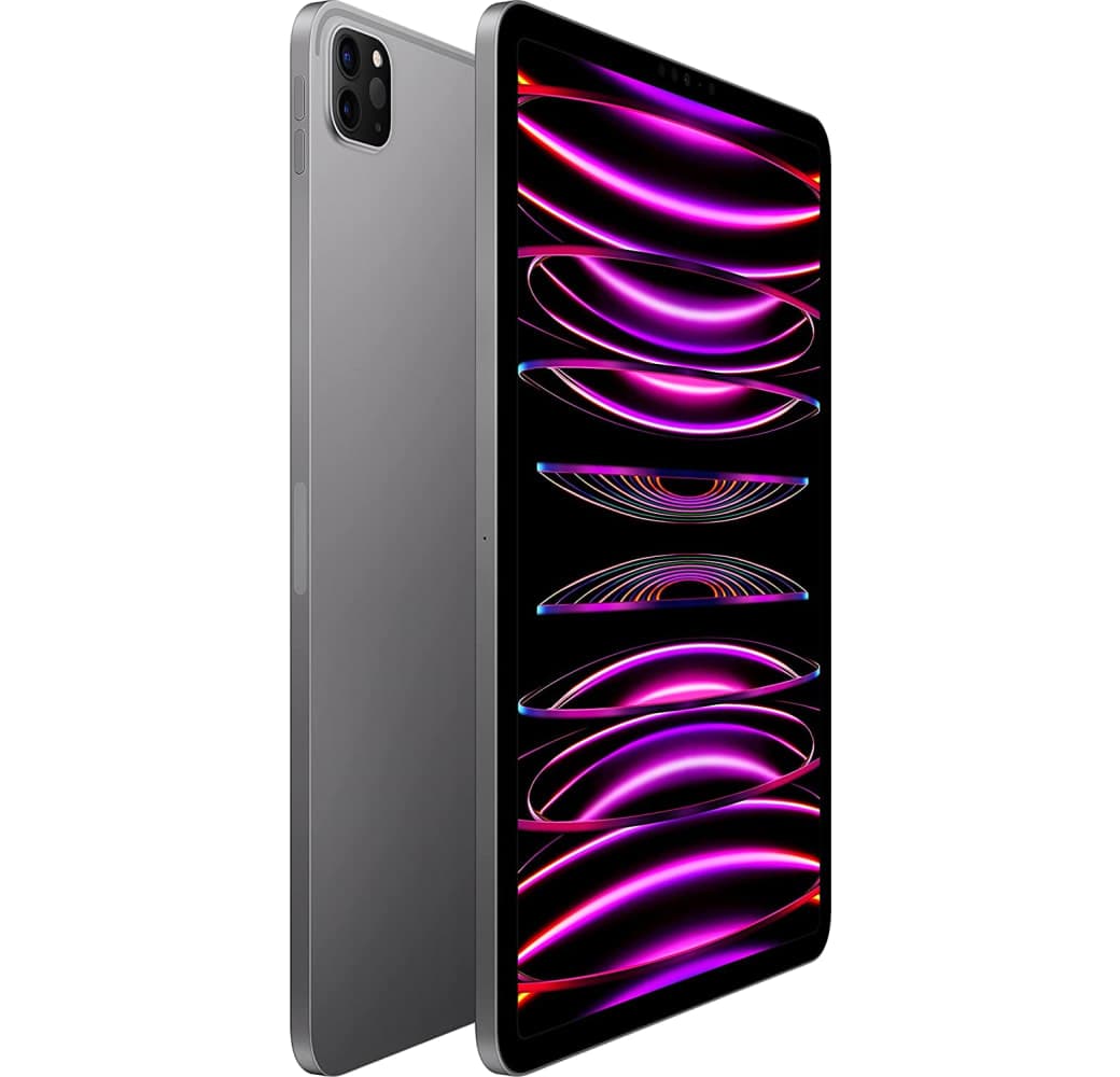 Gris espacial Apple 11" iPad Pro (2022) - Wi-Fi - 1TB.2