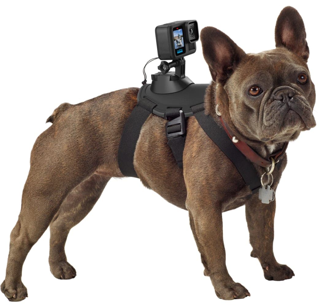 Schwarz GoPro HERO 13 Black.9